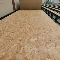 Panneau OSB de haute qualité 18mm, panneau OSB étanche pour la Construction et la décoration de meubles