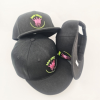 Gorro de Moda Coreana Ajustable Estilo Hip-Hop, Gorra de Diseño Juvenil y Elegante para Hombres y Mujeres, Gorra Snapback