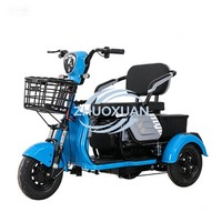 Quadricycle électrique confortable pour adultes, carrosserie ouverte, utilisation cargo, 2 passagers, trajets courts, vélo électrique