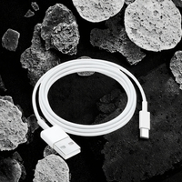 Kabel USB Type C 1M 2.1A Pengisian Cepat Bahan TPE Garansi 6 Bulan CE OEM untuk Ponsel & PC