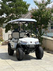 Voiture de patrouille électrique à commande manuelle avec batterie au lithium à haut rendement énergétique, autonomie ultra-longue de 80-100 km, charge rapide, voiturette de golf électrique - Product Image 5