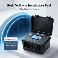 Mégohmmètre numérique portable 10 kV IP54, instrument de mesure de l'isolement des équipements électriques avec six tensions de test sélectionnables