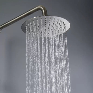 Set Doccia Moderno Monofunzione in Acciaio Inox con Valvola Miscelatrice Sollevabile, Suite Doccia Semplice per Piscina e Bagno - Product Image 4