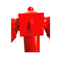 Hydrant d'incendie à double sortie ANSU, type humide, avec vannes, en fonte, DN100, 435 PSI