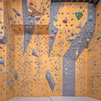 Panneaux muraux d'escalade intérieurs et extérieurs commerciaux Mur d'escalade artificiel Jeux muraux d'escalade pour enfants