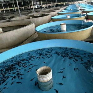 ถังเพาะเลี้ยงสัตว์น้ำ GRP สำหรับการเพาะเลี้ยงปลา การเพาะเลี้ยงกุ้ง บ่อปลาสวยงาม ระบบฟักไข่ บ่อปลา FRP - Product Image 4