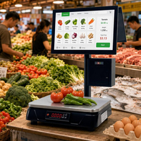 15.6 All-in-one POS weegschaal pc kassa weegschaal roestvrijstalen weegpan POS systeem weegschaal voor verse producten, fruit en groenten