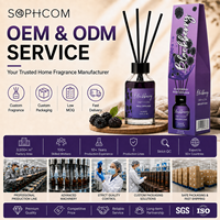 Lot de diffuseurs à bâtonnets de 100 ml avec bâtonnets en rotin, huile parfumée personnalisée pour la décoration intérieure et les programmes de vente au détail pour les acheteurs