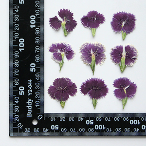 Bijoux en résine <span class=keywords><strong>rose</strong></span> arc-en-ciel avec pétales de fleurs naturelles pressées, écologiques - Product Image 5