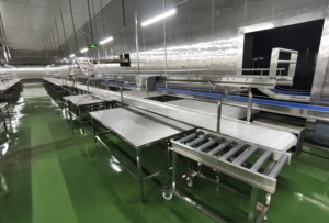 Ligne de convoyage durable en acier inoxydable et plastique pour l'abattage de la viande, avec vitesse réglable, pour applications dans l'industrie alimentaire - Product Image 4