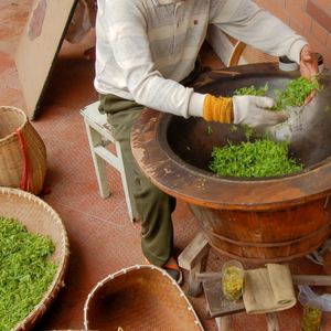 हस्तनिर्मित उच्च गुणवत्ता वाले हैंगझोउ ड्रैगन अच्छी तरह से ऑर्गेनिक लॉन्ग जिंग ऑर्गेनिक ग्रीन टी यू यूडा प्रमाणित - Product Image 4