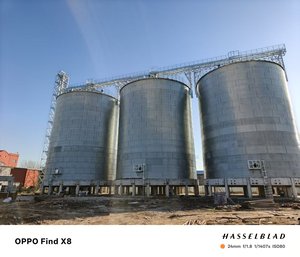 Silo de Acero Galvanizado de 275-600 g/m2 para Cereales, Silo Metálico Inteligente de 100-5000 Toneladas para Almacenamiento de Trigo, Granos y Maíz - Product Image 2