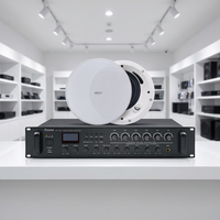 Amplificateur de mixage audio professionnel Thinuna VTA II Series, 6 zones, 5 égaliseurs, effets sonores, amplificateur de mixage avec contrôle du volume