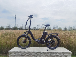 Vélo <span class=keywords><strong>électrique</strong></span> <span class=keywords><strong>pliant</strong></span> de 20 pouces pour <span class=keywords><strong>femme</strong></span>, moteur de 36V, 10,4ah, 350W - Product Image 3