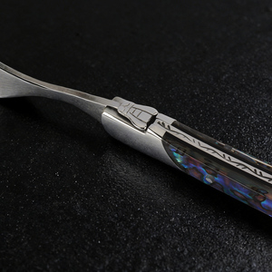 Set di Sei Coltelli da Bistecca Seghettati Laguiole in Acciaio Inox Inciso, Coltello e Forchetta Multiuso per Affettare Carne per Ristoranti - Product Image 5