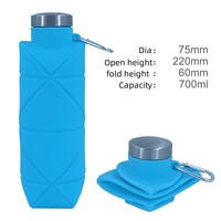 Bouteille d'eau pliable en silicone de 700 ml pour le voyage en plein air, avec crochet de camping, gourde de sport portable – Vente en gros usine