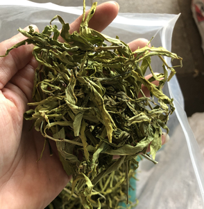 乾燥マジックティー サバハ スネークグラス ハーブ クリナカンサス・ヌタンスの葉 1000g (お茶用) - Product Image 3