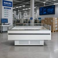 Congélateur îlot commercial écologique à température unique avec refroidissement par air et cloison en verre pour la présentation de viandes et fruits de mer en supermarché