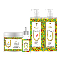 Kit de Croissance Capillaire Biologique en Gros Anti-Chute Solide, Meilleur Shampoing et Après-Shampoing Naturel au Vieux Gingembre Royal pour la Pousse des Cheveux