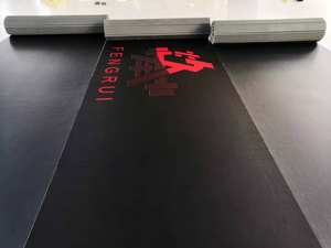 FightBro Esteras DE LUCHA usadas a la venta Craigslist - Product Image 6