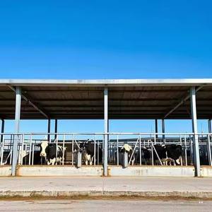 Chine Exportation Bâtiment de structure en acier personnalisé Entrepôts de maison de ferme Atelier préfabriqué pour la construction en métal - Product Image 3