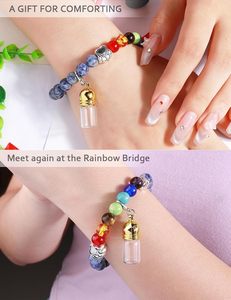 Bracelet en verre Cylindre Urne Pont Arc-en-ciel pour cendres d'animaux de compagnie Chien Chat Cadeau commémoratif Déraillement de l'animal de compagnie - Product Image 4