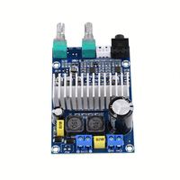 Carte d'amplification numérique TPA3116 pour subwoofer, carte d'amplificateur numérique TPA3116 DC12-24V 100W haute puissance, carte d'amplificateur numérique mono pour basses
