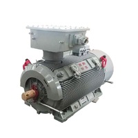 Moteur asynchrone triphasé haute tension Wolong CNE Y3 400KW 3000V 50/60Hz, efficacité IE2, classe de protection IP55 F/H