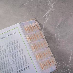 Onglets de Bible laminés, lettrage doré et résumés de livres, autocollants à grand format <span class=keywords><strong>repositionnables</strong></span> pour une navigation facile - Product Image 2