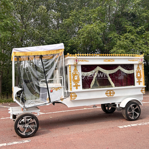 Cercueil de Luxe Personnalisé en Acier, Traîné par des Chevaux et Électrique, Chariot Funéraire, Véhicule de Cercueil, Vente Directe d'Usine - Product Image 5