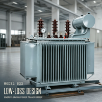 Transformateur immergé dans l'huile à enroulement multiple S22 personnalisé 12,47 kV pour systèmes de distribution industrielle 50 Hz 60 Hz