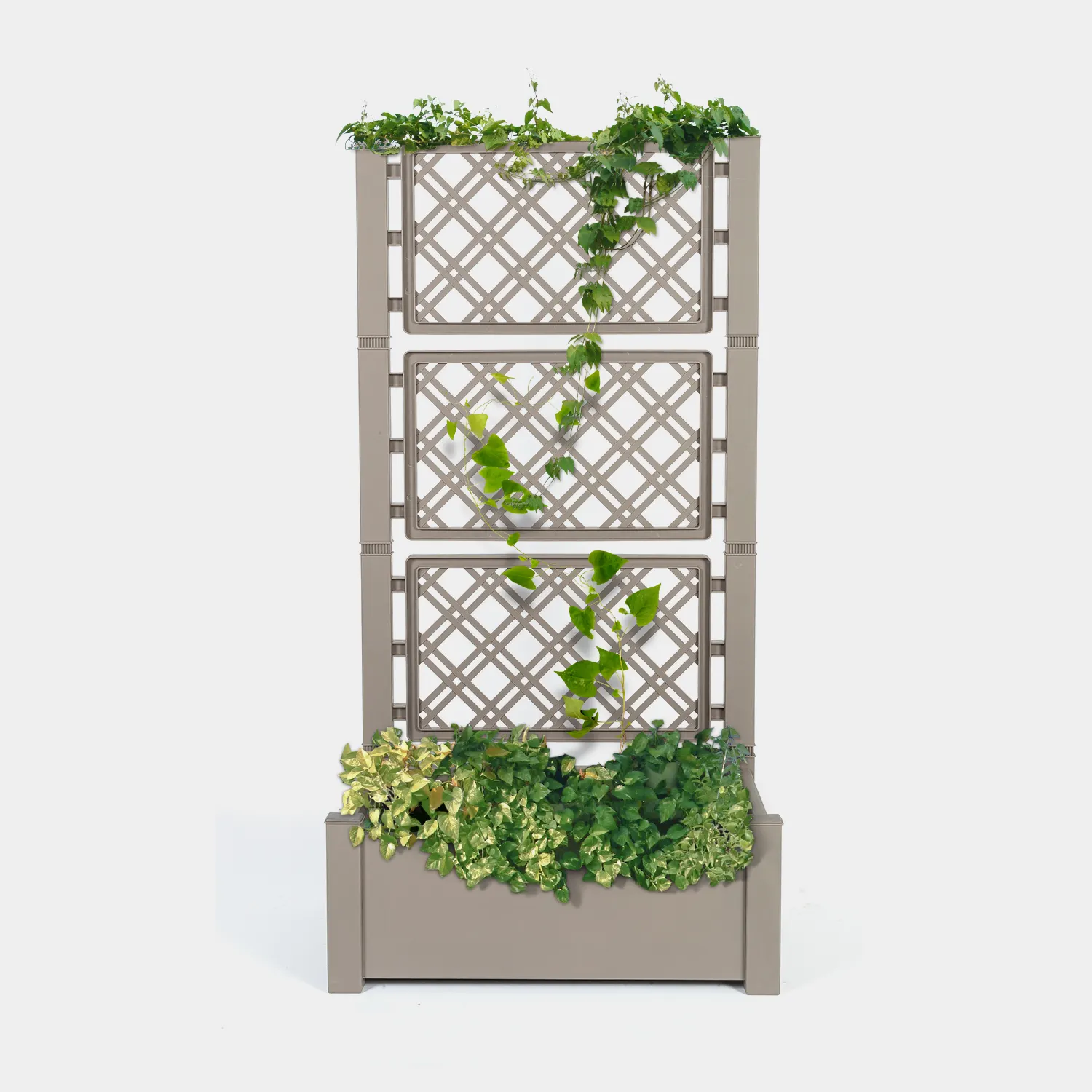 Jardinière de grande étagère de jardin moderne de luxe avec 61.7 pouces de hauteur autonome
