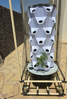 Système de tour hydroponique verticale G&N de grande taille pour la culture verticale de fraises en intérieur, hydroponie, serres agricoles