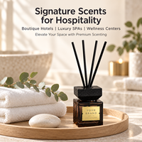 Diffuseurs de parfum naturels de luxe pour la maison, 500 ml, écologiques, sans alcool, sans BPA, longue durée, fabriqués à la main, bouteilles en verre DIY