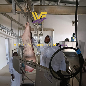 Prix d'usine Abattoir 50 - 100 Porcs Par Jour Équipement De Ligne D'abattage pour Machine D'abattoir - Product Image 4