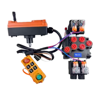 Vanne à commande à distance sans fil 5 voies 5 bobines 12V 24V CC pour système hydraulique
