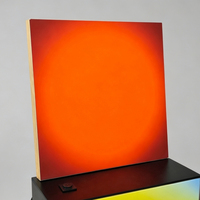 Lampe LED à rythme circadien, peinture lumineuse, lever et coucher du soleil, lampe de méditation, art mural moderne pour spa et studio de yoga