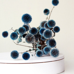 <span class=keywords><strong>Echinops</strong></span> Secos y Preservados al por Mayor para Decoración de Ramos de Flores, Globos de Flores Secas, Cardos - Product Image 2