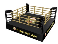 Une usine ANGTIAN vend des rings de boxe Muay Thai/site d'entraînement d'arts martiaux mixtes personnalisé/location d'anneaux de lutte