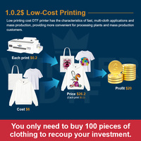 Impresora Digital de Camisetas A3 Pequeña DTF de 30cm Rollo a Rollo en Condición Nueva