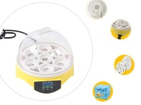Incubateur d'œufs compact transparent 7 œufs avec contrôle numérique de la température et de l'humidité, double tension, pour bureau