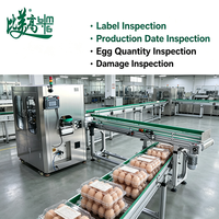 Équipement d'inspection et de rejet entièrement automatique pour barquettes à œufs de marque BMG, système de vision CCD haute vitesse pour la détection des défauts de surface