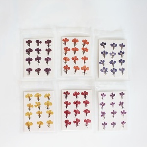 M003 coque de téléphone DIY préservée vraie <span class=keywords><strong>fleur</strong></span> séchée pressée résine Nail Art bijoux cadre <span class=keywords><strong>Lobelia</strong></span> petites fleurs séchées <span class=keywords><strong>fleur</strong></span> naturelle - Product Image 2