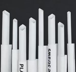 Biodegradable PLA White <strong>Straws</strong> Food Grade Disposable <strong>Straws</strong> for Party Restaurant Supplies - Product Image 1