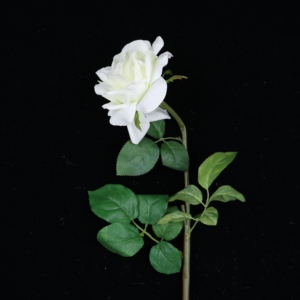 <span class=keywords><strong>Rosa</strong></span> <span class=keywords><strong>Rosa</strong></span> 2 bud 1 Seta Tessuto a Fiori English Rose Fiore Artificiale per <span class=keywords><strong>la</strong></span> Cerimonia Nuziale Centrotavola - Product Image 6