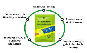 Booster d'Engraissement pour Poulets de Chair Additifs Animaux Vitamines - Product Image 3