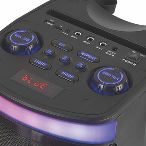 Altavoz de fiesta Dual 6,5 pulgadas Bajo profesional LED Luz intermitente colorida Caja de sonido amplificada Altavoces de DJ - Product Image 3