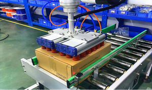 自動包装および仕分けタスク用の共同パレット化ロボットペイロード30kg - Product Image 4