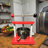Xinhe XH-P07 Industriële Automatische RVS Fruit- en Groentepersmachine voor Restaurantgebruik, druivensapcentrifuge, gemberpers