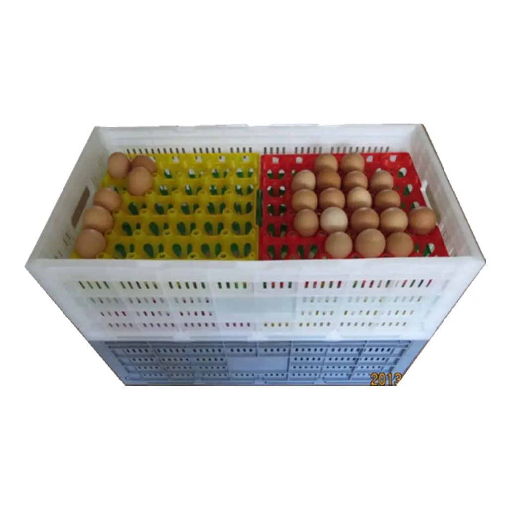 Kunststoff Lagerung Eier ablage Karton faltbare Ei Transport kiste